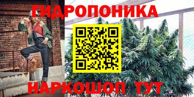 гашик Ирбит