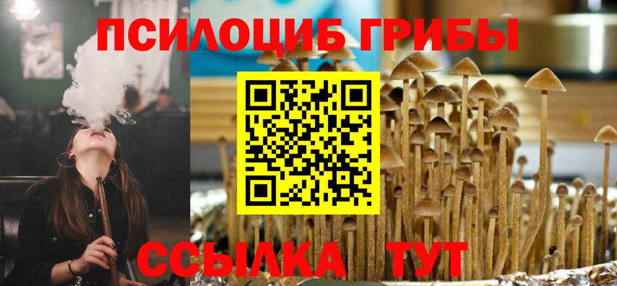 Лесосибирск  Псилоцибиновые грибы Psilocybe  Вход с VPN 